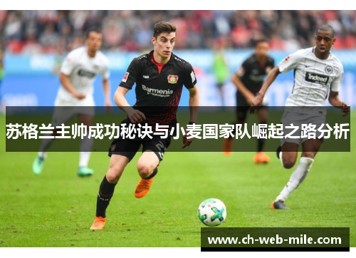 苏格兰主帅成功秘诀与小麦国家队崛起之路分析 苏格兰主帅成功秘诀与小麦国家队崛起之路分析