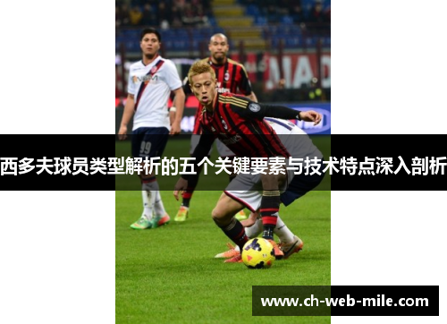 西多夫球员类型解析的五个关键要素与技术特点深入剖析 西多夫球员类型解析的五个关键要素与技术特点深入剖析