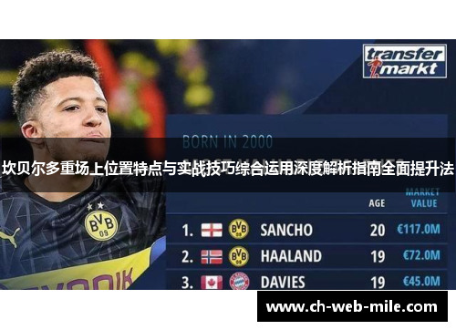 坎贝尔多重场上位置特点与实战技巧综合运用深度解析指南全面提升法 坎贝尔多重场上位置特点与实战技巧综合运用深度解析指南全面提升法