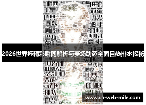 2026世界杯精彩瞬间解析与赛场动态全面自热排水揭秘