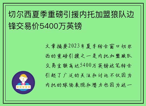 切尔西夏季重磅引援内托加盟狼队边锋交易价5400万英镑 切尔西夏季重磅引援内托加盟狼队边锋交易价5400万英镑